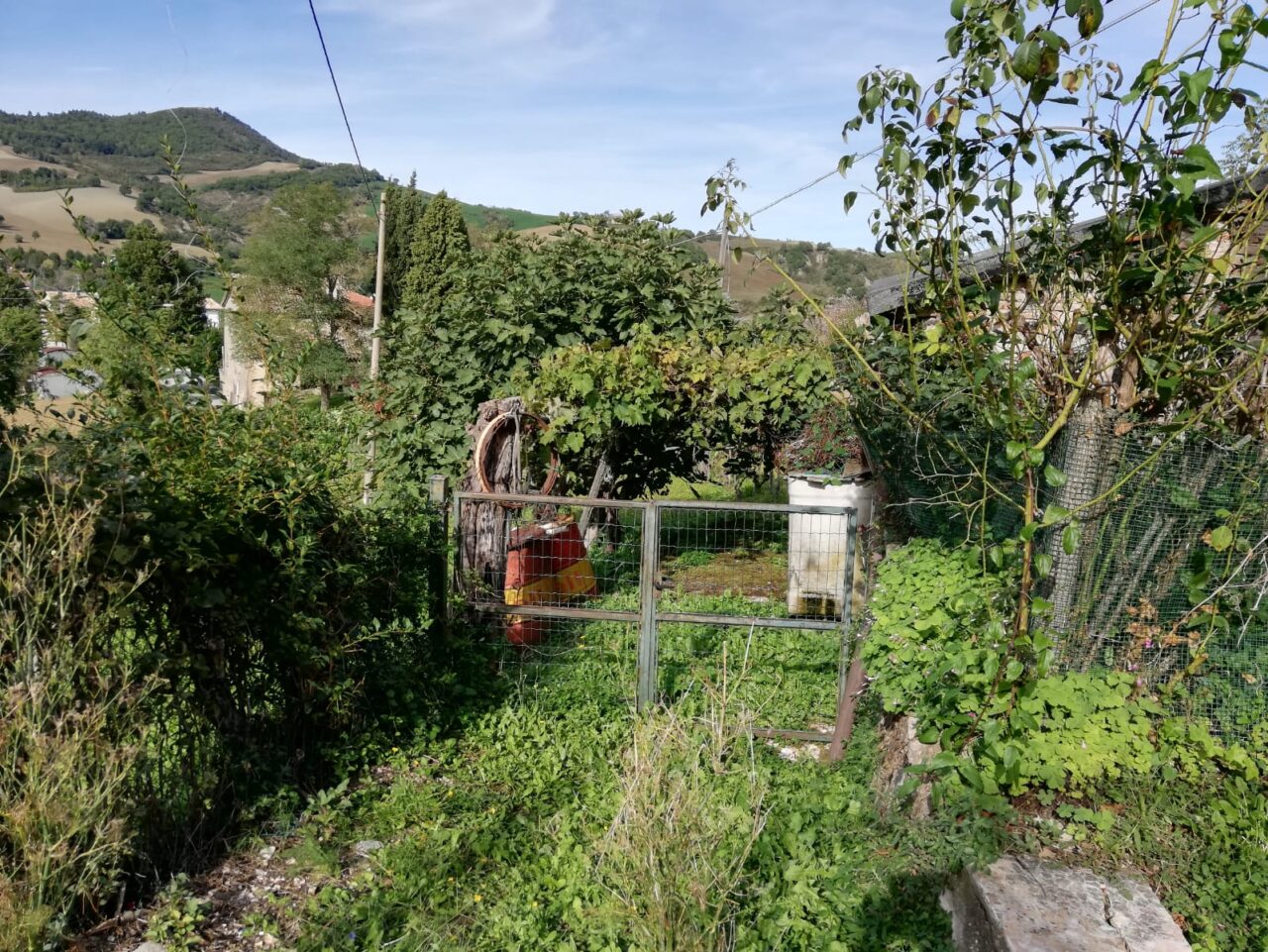 Terreno Terreno